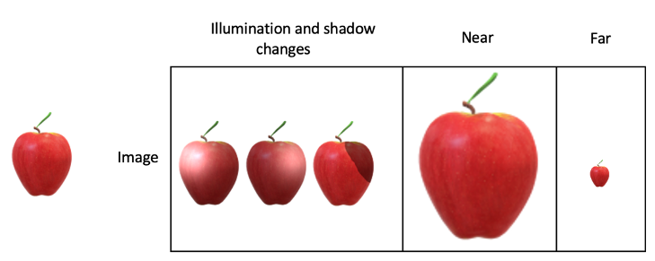 Figure 2. Apple image changes