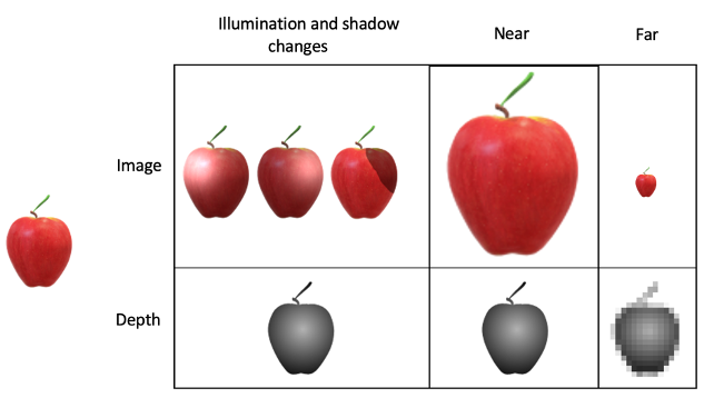 Figure 3. Apple image and depth changes (in depth the apple can be moved in scene to be compared in depth)